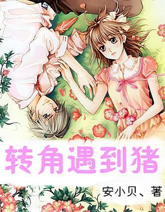 蓝狐视频