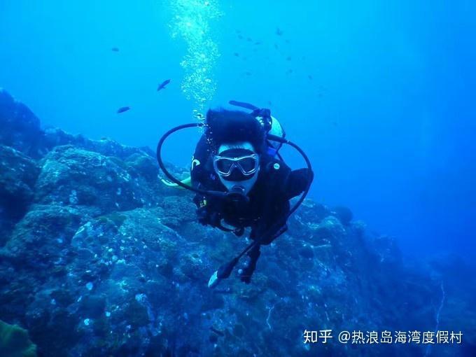 植物大战僵尸1