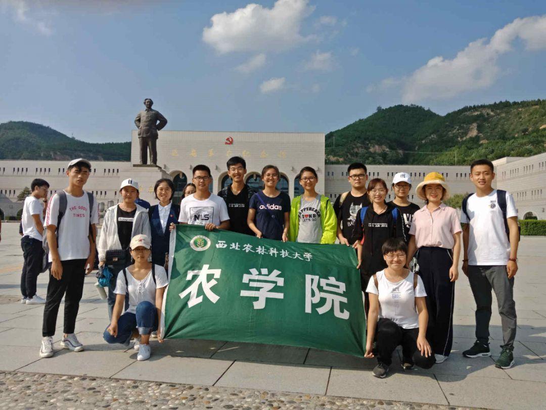 妙鸭相机app下载官网
