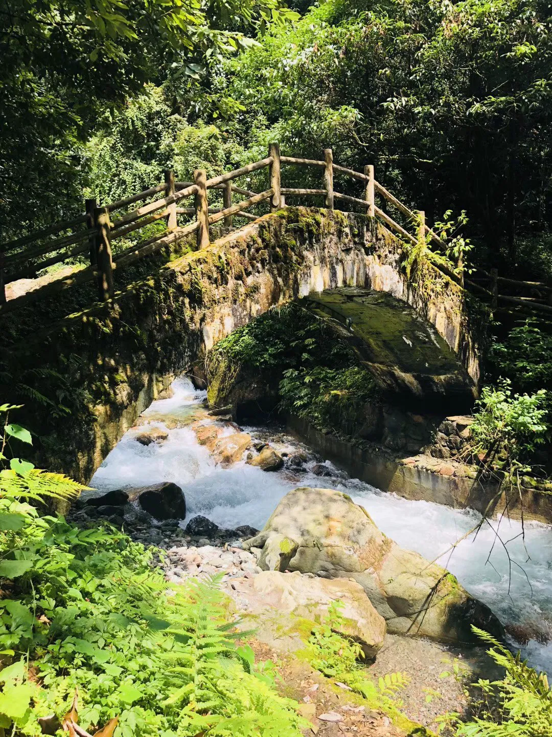 嘉日单词