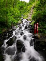 【两会·力量】高安勤代表:当好乡村发展的引路人