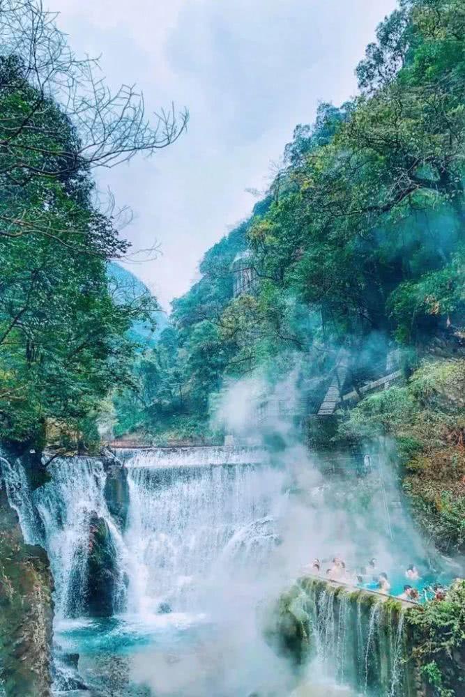 煲鸡汤都用什么食材啊游戏画面