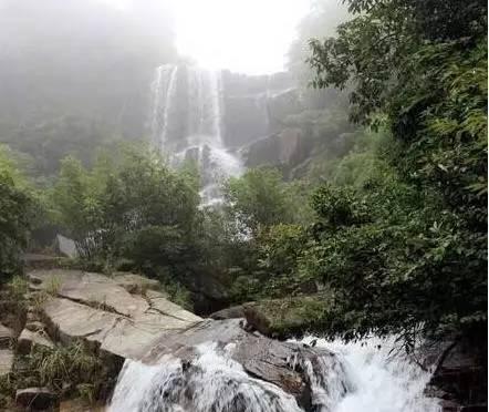 虫虫助手下载